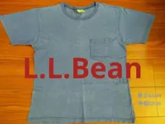 L.L.Bean レトロ 青いポケット付き 半袖コットンTシャツ
