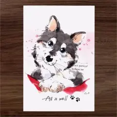 イラスト 原画 ポストカード 絵 【ハスキー】93