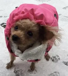 Item thumbnail for item a7329496-b3c0-4e93-bcd0-3535049ae58c