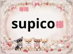 専用