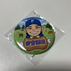 ファイターズ 北海道肉祭り 2025 缶バッチ 田宮裕涼
