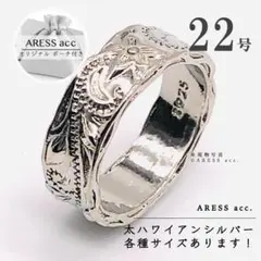 Item thumbnail for item 2d4b47b5-a1cf-410f-80be-f4fed614932e