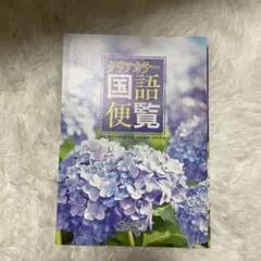 国語便覧 数研出版