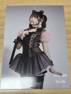 Item thumbnail for item e6f6deee-1781-4396-9c8b-8a871cba414e