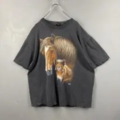 VtgUSA Western Horse Pony Sunfade Tee XL