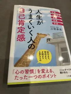 人生がうまくいく人の自己肯定感