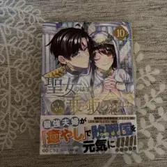 聖女のはずが、どうやら乗っ取られました(10)