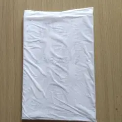 劇場版 シン・エヴァンゲリオンEVANGELION 3.0+1.0 :||パンフ