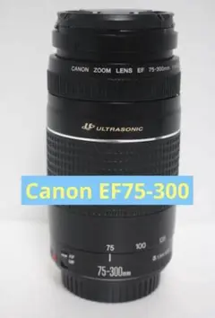 Item thumbnail for item f7fba2cc-9385-4e04-8b60-d2813ab41ad9