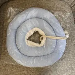 Item thumbnail for item c5ae7315-05b3-4f67-8f7d-5b8a786cb1f1