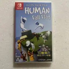 ヒューマンフォールフラット　スイッチ　ソフト