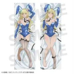 ダンまち クッションカバー・ブランケット アイズ調 水着ver. 新品未開封 楽天市場】金鵄 kinshi クッションカバー 45×45cm 北欧 純日本製