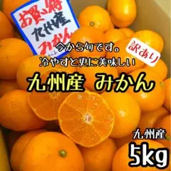 九州産◎みかん 5kg 家庭用 甘くて美味しい◎d