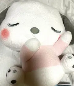 サンリオ　ポチャッコ　BIGすやすやぬいぐるみ