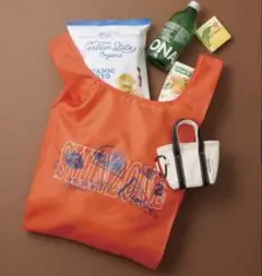 Item thumbnail for item 6cf7a972-acc1-4ca2-a2ac-e0750bd1bef4