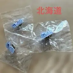 道の駅　あかいがわ　花ロードえにわ スペースアップル余市　ピンバッジ