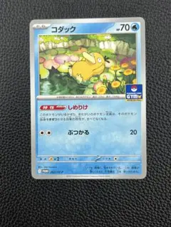 【未使用美品】コダック(PROMO 262/SV-P) しめりけ　HP70