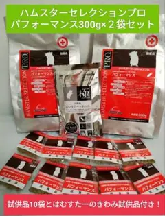 Item thumbnail for item b9e0af5e-197b-45c9-a61c-25900f214608