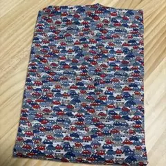 Item thumbnail for item 6f066946-92f4-4f3d-99a9-c58e67285e40