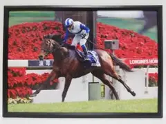 Item thumbnail for item be3811a6-836d-4ed0-9378-ec7e444c829f