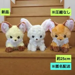 Item thumbnail for item ed48c44f-5d2a-4bfe-861a-a08b51b94657