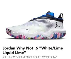 新品JORDAN WHY NOT .6pf 26.0cmジョーダンNIKEナイキ JORDAN[ジョーダン] JORDAN WHY NOT .6 PF / ジョーダン