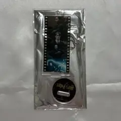 ハリー・ポッター フィルム風アクリルキーホルダー コレクション トム・リドル