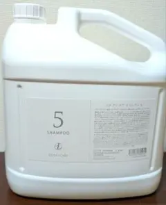 Item thumbnail for item 3910c887-0a0f-4b78-86e6-7637aaf0b60f