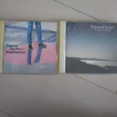 浜田省吾 CD 2枚セット