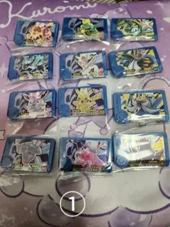 ポケモンフレンダピック(トレジャー)①
