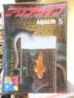 Item thumbnail for item c9f573be-763d-4c11-9515-e3b63b505370