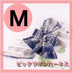 Item thumbnail for item dd70f06e-0850-4ffc-93c4-618997067511