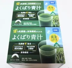 DHC 乳酸菌と酵素がとれる よくばり青汁 2箱とオマケ