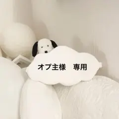 オプ主様　専用