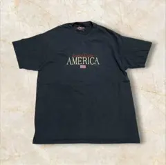 【00S OLD VARSITY アメリカ国旗Tシャツ 刺繍 フラッグ L】