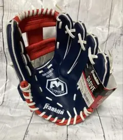Franklin 11inch FIELDMASTER USAグローブ