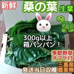 Item thumbnail for item 46713648-1afc-40f1-9c4e-71e3f5ecf4a5