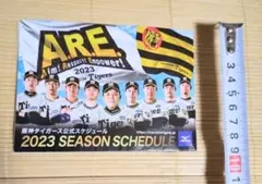 阪神タイガース 2023シーズンスケジュール