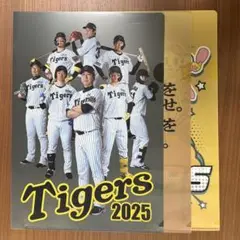 Tigers 2025 クリアファイル 3枚セット