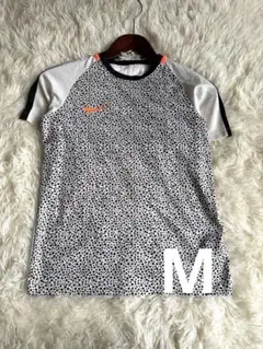 Item thumbnail for item 5d84d912-459e-41be-a78d-78125643cced