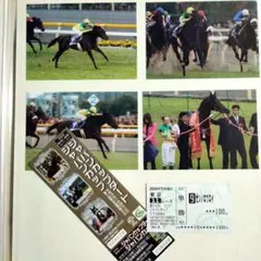 第24回　ジャパンカップ（GⅠ）　 ゼンノロブロイの単勝当たり馬券　他 ⑨