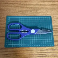 Item thumbnail for item dfd8bc96-21f9-442c-b509-f00bd000071d