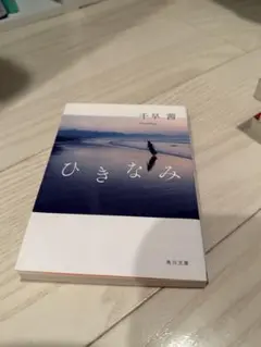 ひきなみ　千早茜