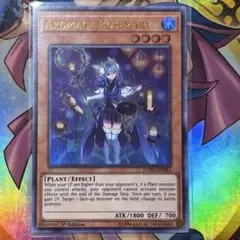 遊戯王 英語表記アジア版 アロマージ・ジャスミン×3 遊戯王 英語表記アジア版 アロマージ・ジャスミン×3