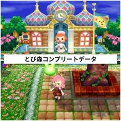 とびだせどうぶつの森 コンプリートデータ