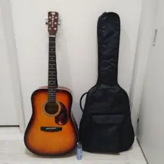 【ワッサー様専用】Pro Martin ギターW-230TB ケース&ポリッシュ