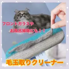 Item thumbnail for item ada4a8fa-0c50-4d29-b443-439d2baf0cb2