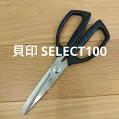 Item thumbnail for item 5a6c26d1-f069-48b1-a90c-5baa6c4e83fa