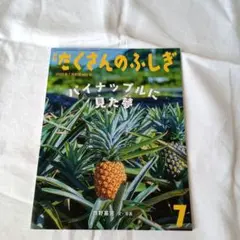 たくさんのふしぎ 2025年7月号　パイナップルに見た夢