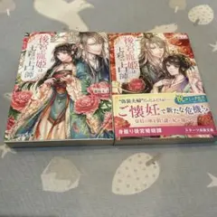 後宮の寵姫は七彩の占師 月心殿の貴妃 計2冊